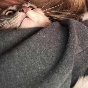 Meet your Posher, Jena